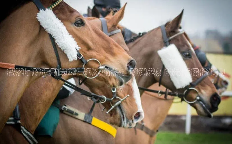 凯捷娱乐百度搜索资源平台