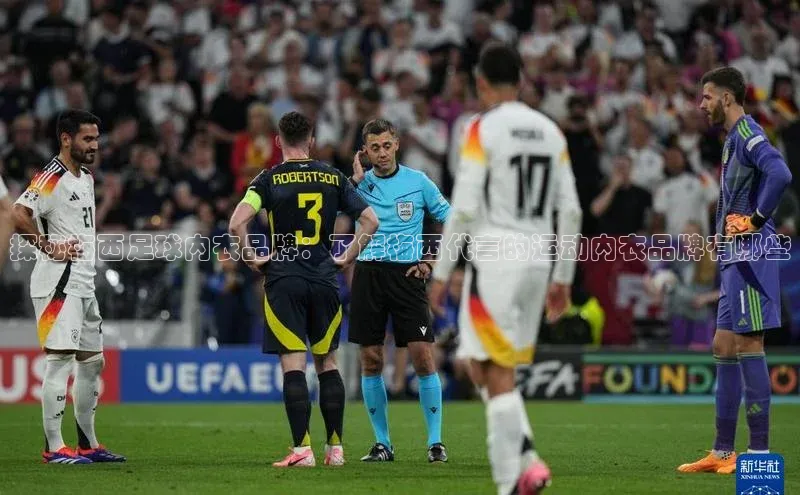 凯捷娱乐阿里尔公司