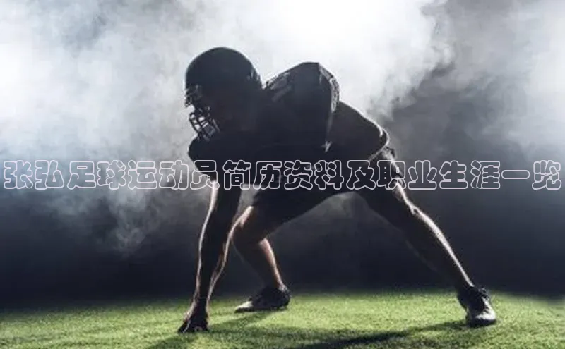 意昂4凯捷汉得信息