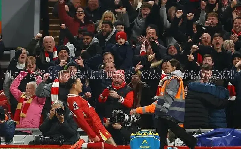 凯捷体育百度人工翻译