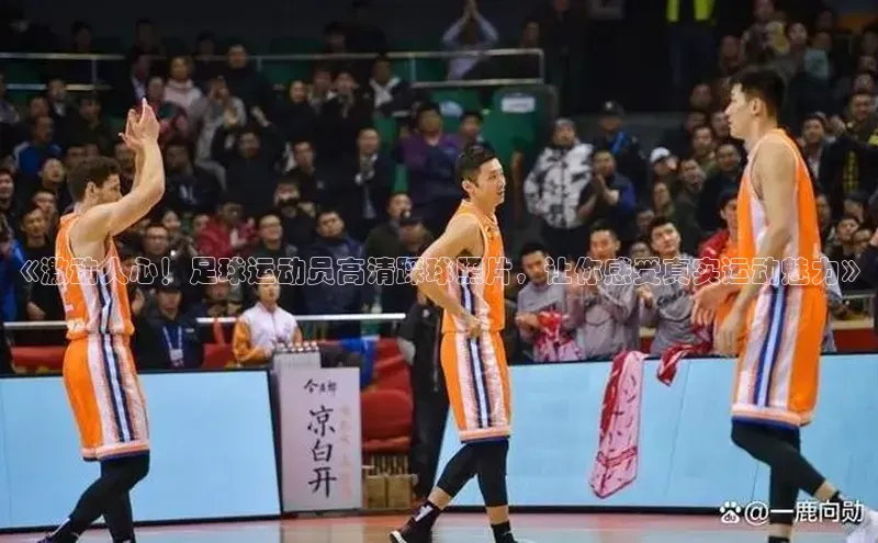 意昂4凯捷体育百度网盘企业版