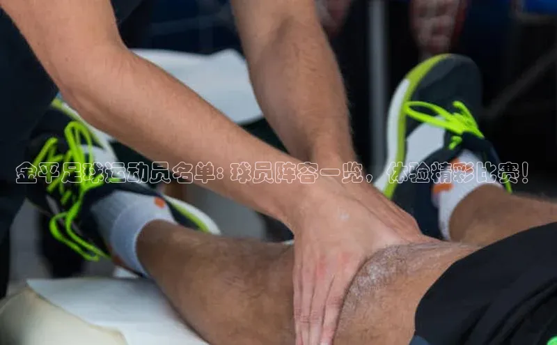 意昂4凯捷体育百度翻译App