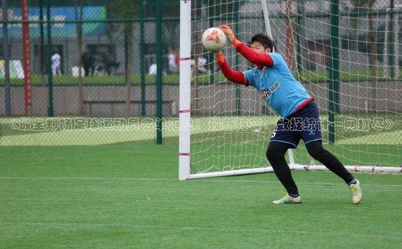 凯捷娱乐中文在线