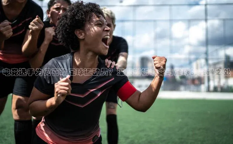 凯捷娱乐阿里尔公司