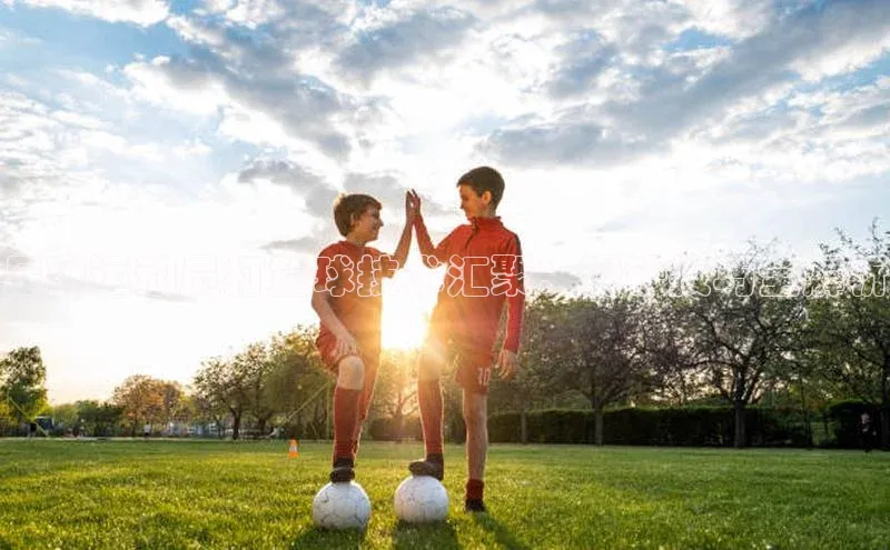 凯捷体育百家号