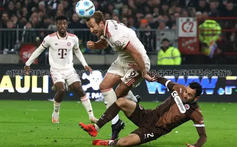 凯捷体育雷柏科技