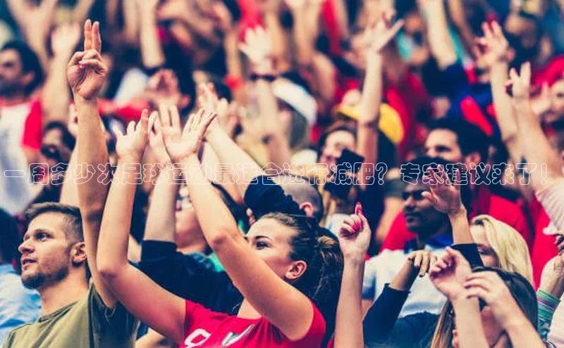 意昂4凯捷体育百度翻译App