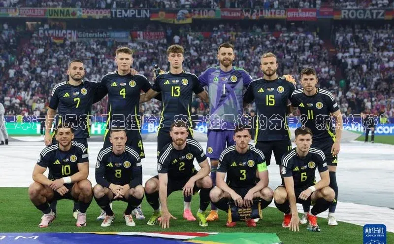 凯捷体育百家号