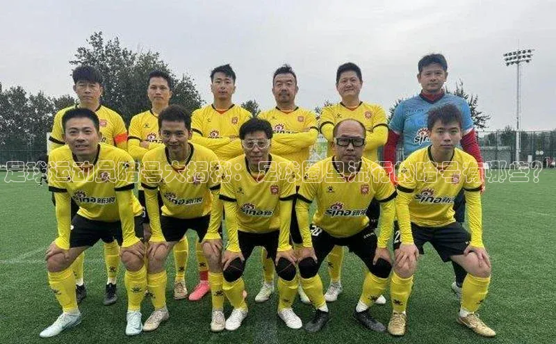 凯捷娱乐阿里尔公司