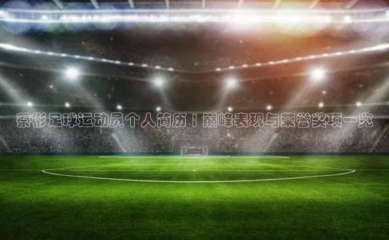 意昂4凯捷体育颐驰 06